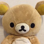 11203344_494199194061969_413512750_a