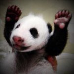 10784929_876005592433525_62293478_a