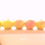 12292713_934272736659783_2125693060_a