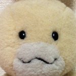 10597270_713944595339957_1273182416_a