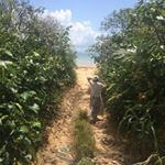 11909220_1461685257474045_868783439_a