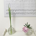 10597508_457835814417605_1316534929_a