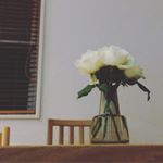 12093595_1641974172722921_1272833204_a