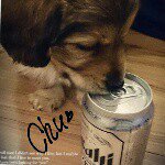 10956718_974518299237338_1600776003_a