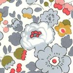 12519141_140743506300762_814657535_a