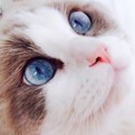 12338968_1960019140890280_714313423_a