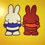 11899630_941763132536521_1259436735_a