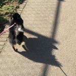 10903739_882164715230304_421485335_a