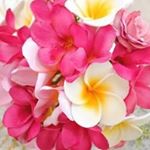 11910170_166869046984810_1858671465_a