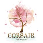 12407266_961830483911642_1671763723_a