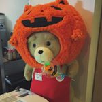 12070904_964998500242252_1942418764_a