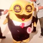 12107561_545929268898116_1898994769_a