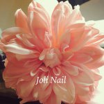 10727659_559655514167393_1862132050_a