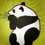 11373826_1629521247319391_1444611811_a