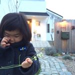 12407443_1679601875632270_618217228_a