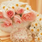 12139632_1751859038375147_1990956203_a