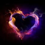 11820526_1495329870786530_910322768_a