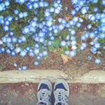 11311521_410748545784632_1234195919_a