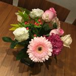 12393740_1660332634244836_937039920_a