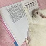 12135326_1496558987336942_784040216_a