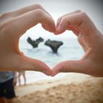 11950554_1614710768794343_1341265714_a