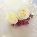 10948670_1540178902924904_787593125_a