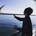 10401853_518969684941294_1877301079_a