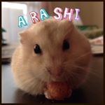 12353435_1527059527618997_451679464_a