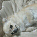 1389983_744507618947857_1765513112_a