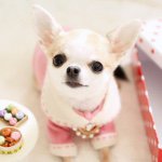 10467860_818298898205560_304088602_a