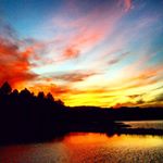 12298814_976817232385980_1084093219_a