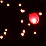 11023013_425285054312035_389193248_a