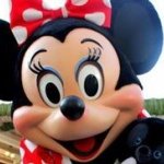 10533956_500246070111235_1162700286_a