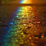 10903229_799358310148598_1297502892_a