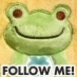 11821338_870757002962165_2096561897_a