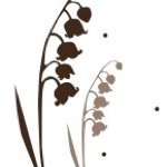 12345842_1054257954637089_937589159_a