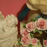 11372388_1417169405274345_1947769488_a