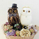 11255688_383952351790750_190336325_a