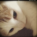 10412851_667502483304429_623945707_a