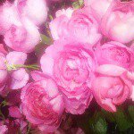 11084764_1602533799958298_1728226603_a