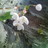 F1001236_normal