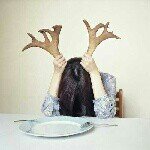 11373904_1060757567275269_1392568841_a