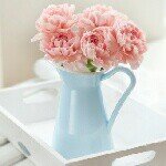 11375232_519839598180953_201562142_a