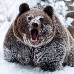 10890861_909992329040464_586674278_a