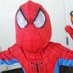 11208465_814402178629347_1342823777_a