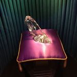 12394056_724738887661235_905835185_a