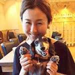 12224687_1012916625439751_249995850_a