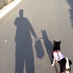 10598245_459253427613922_1364528888_a