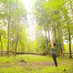 12093512_516108681887604_1255150583_a