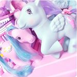 11850085_1504043566574251_1400187470_a